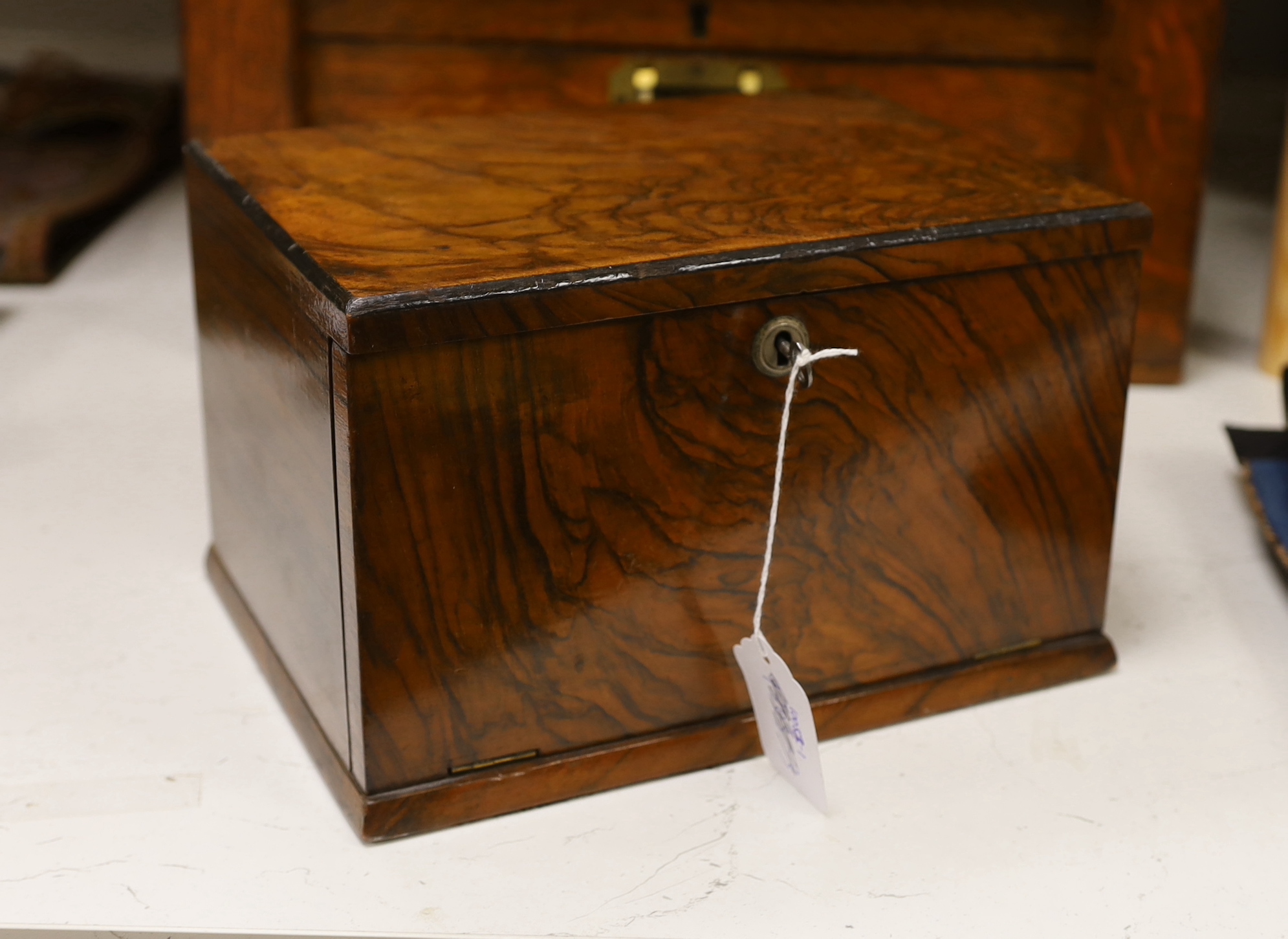 A small walnut case enclosing two drawers